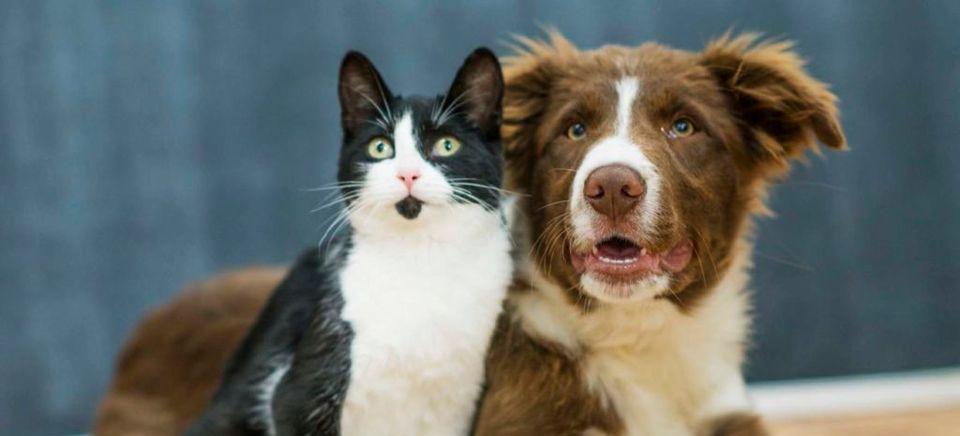 MUISTATHAN TÄNÄÄN: Omatoimiretki Kyläsepän Kesäteatteriin, Kuinka sitten kävikään - Ei ennakkoilmoittautumista