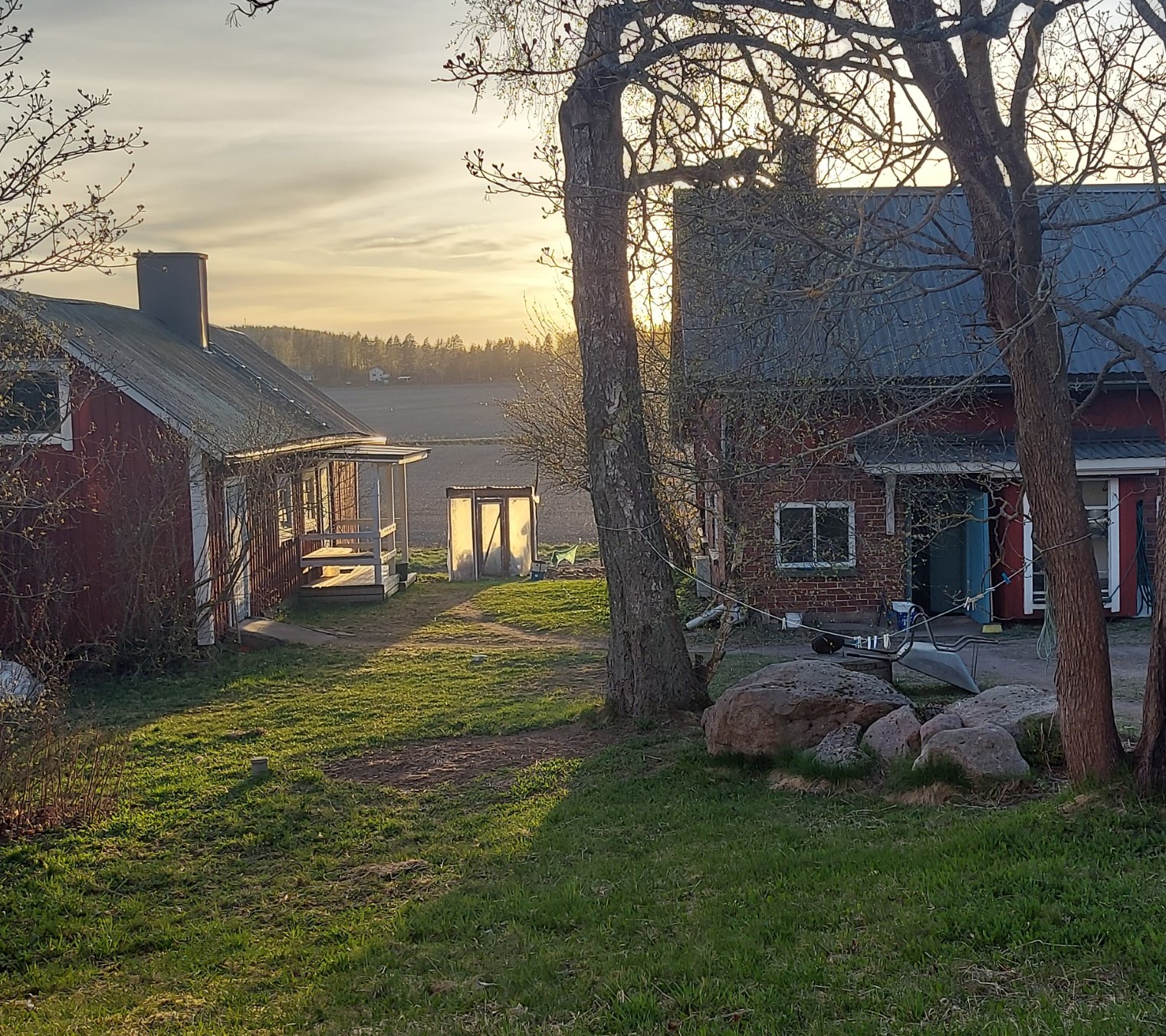 Kesäinen jäsentapaaminen Koivusaaren pientilalla